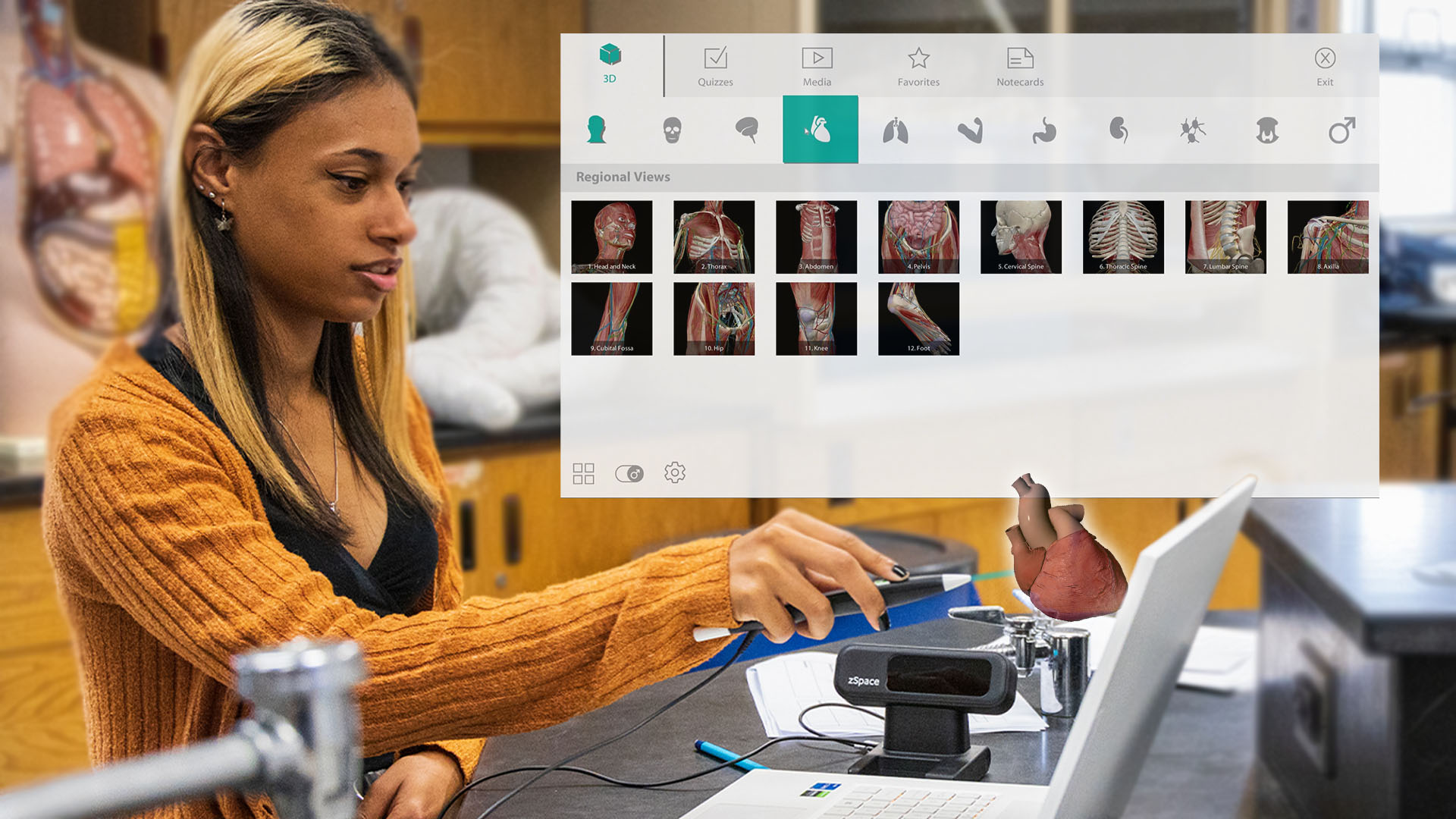 Visible Body+ is Here!